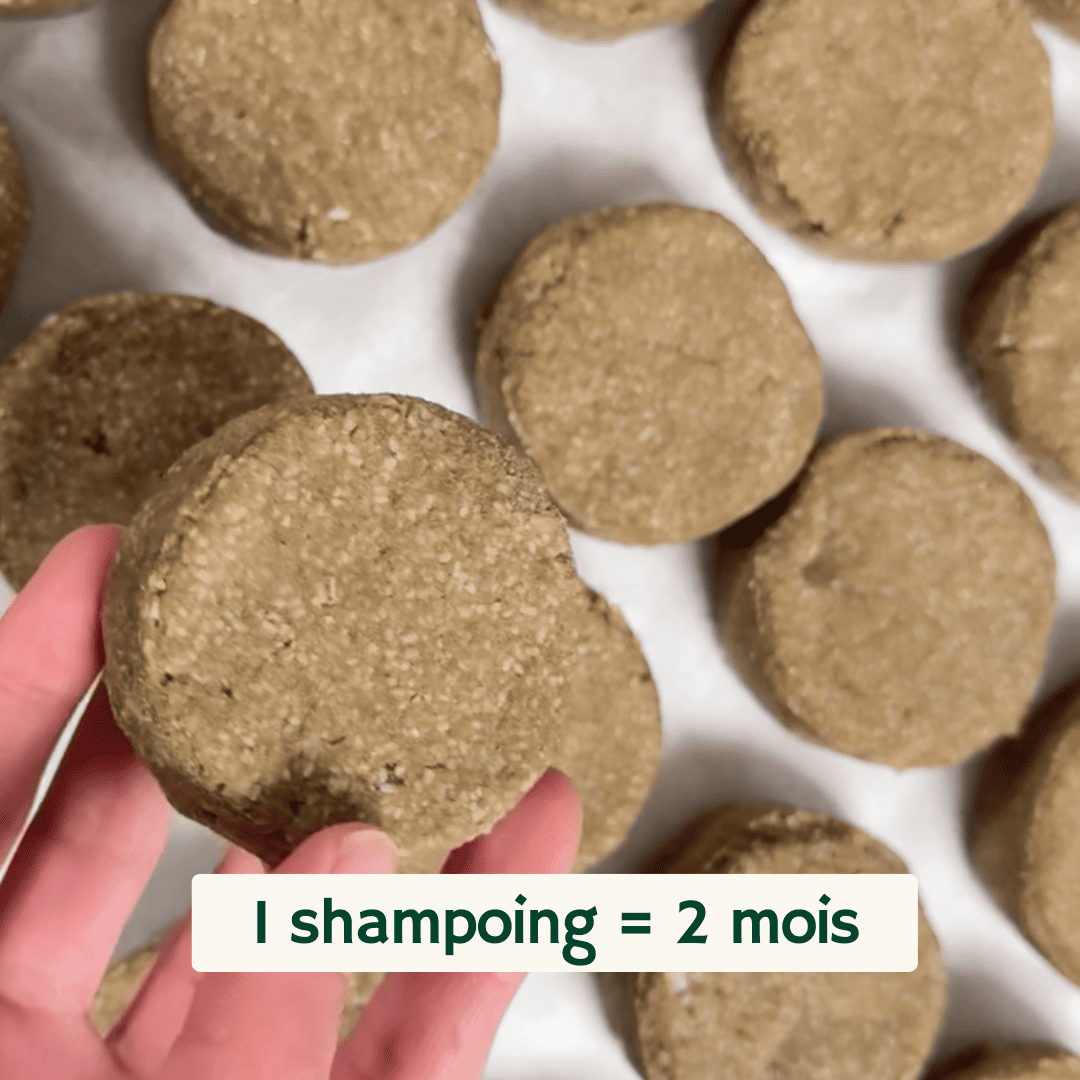 Shampoing solide Proteine de Riz
